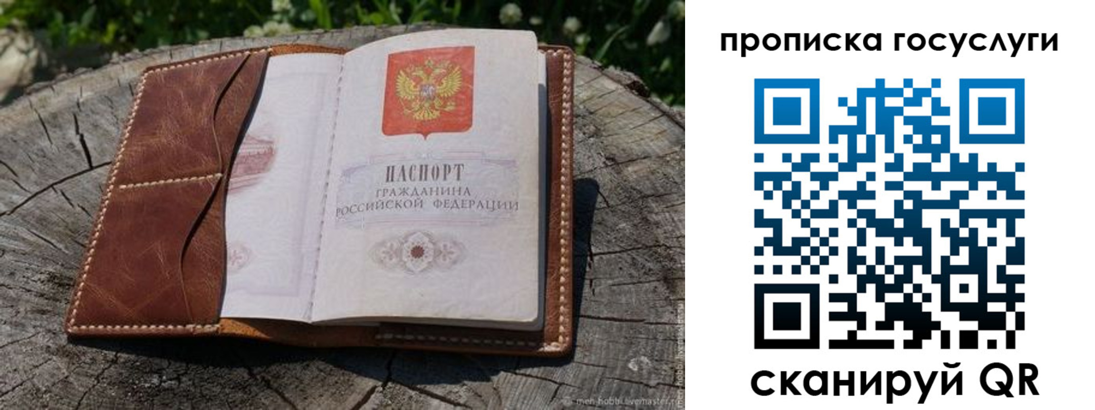 прописка для школы в Сосновке